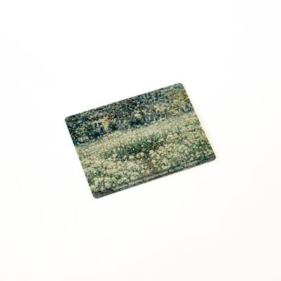 Magnēts. V. Purvītis, Ziedošie lauki