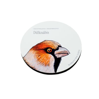 Ieva Jurjāne, Dižknābis