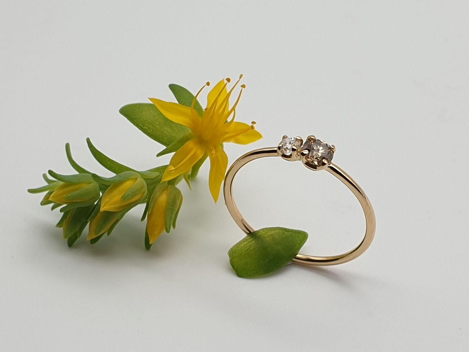 Anello Bilogy  Brown & White in Oro 750/000 (18 ct)