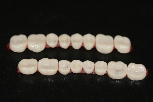 Dental Standard Temporary teeth (choose option of shade)