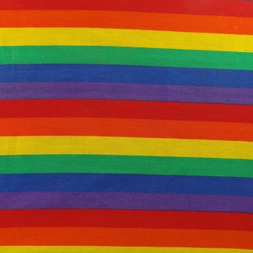 Rainbow Pride