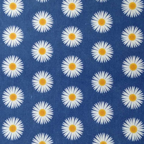 White Daisies on Blue
