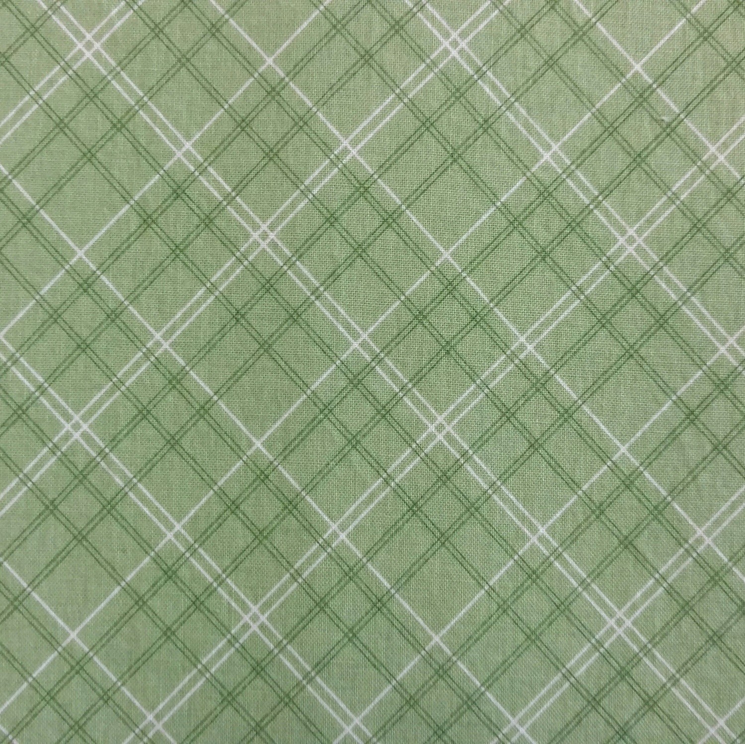 Green Sea Foam Plaid