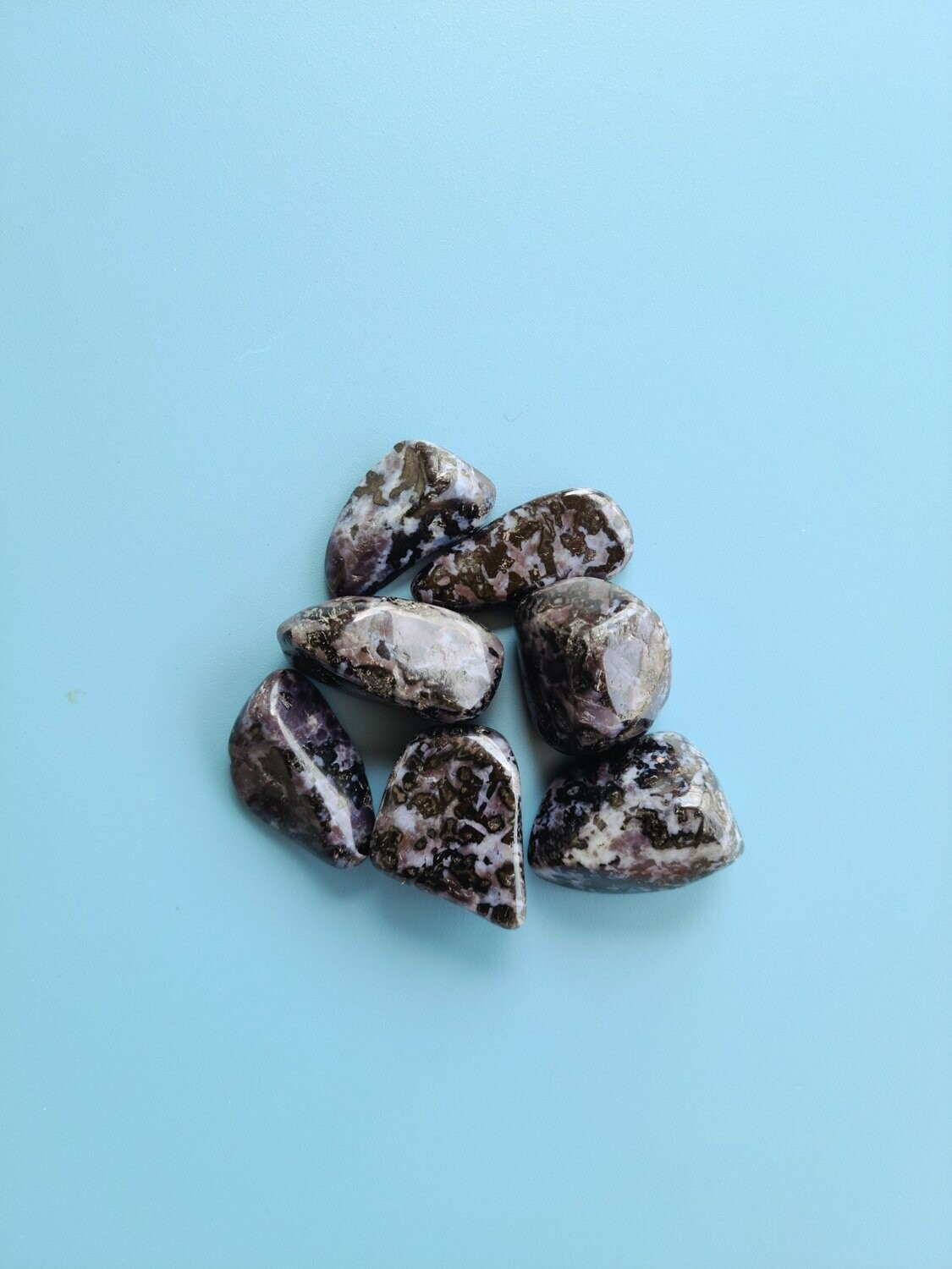 Indigo Gabbro