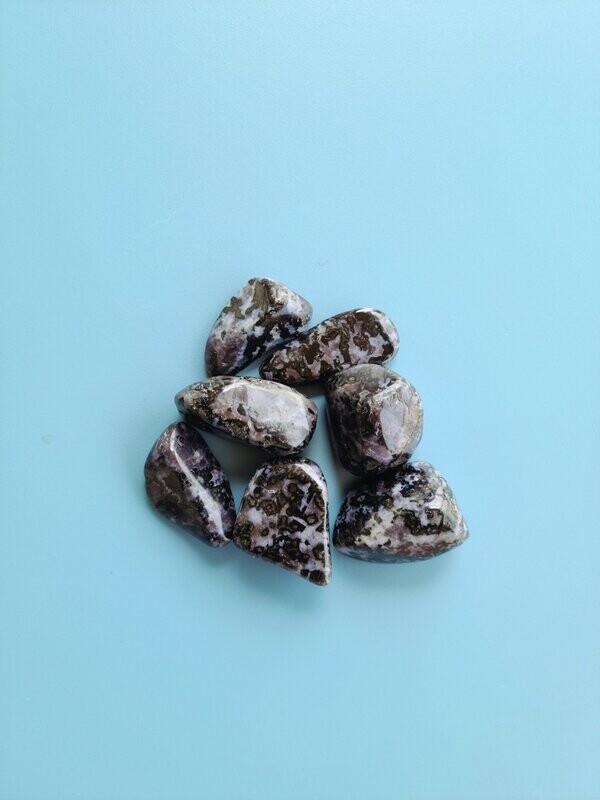 Indigo Gabbro