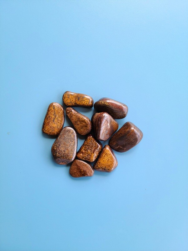 Bronzite