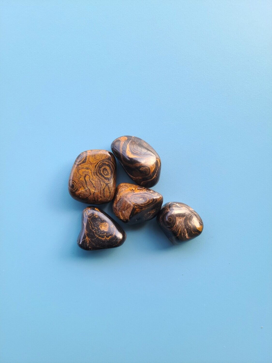 Stromatolite