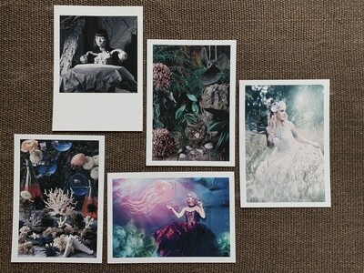 FineArt Print FineArt Print