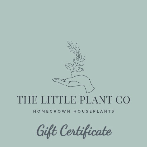 Digital Gift Certificate