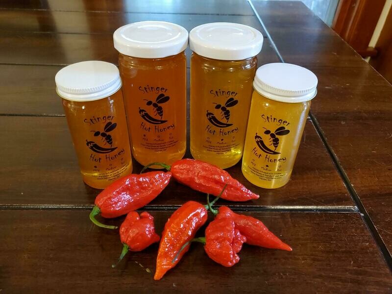 Stinger Hot Honey - Hot, 6 oz
