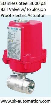 3000 PSI EXP Ball Valve