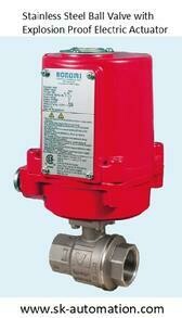 SS Exp Elect Ball Valve