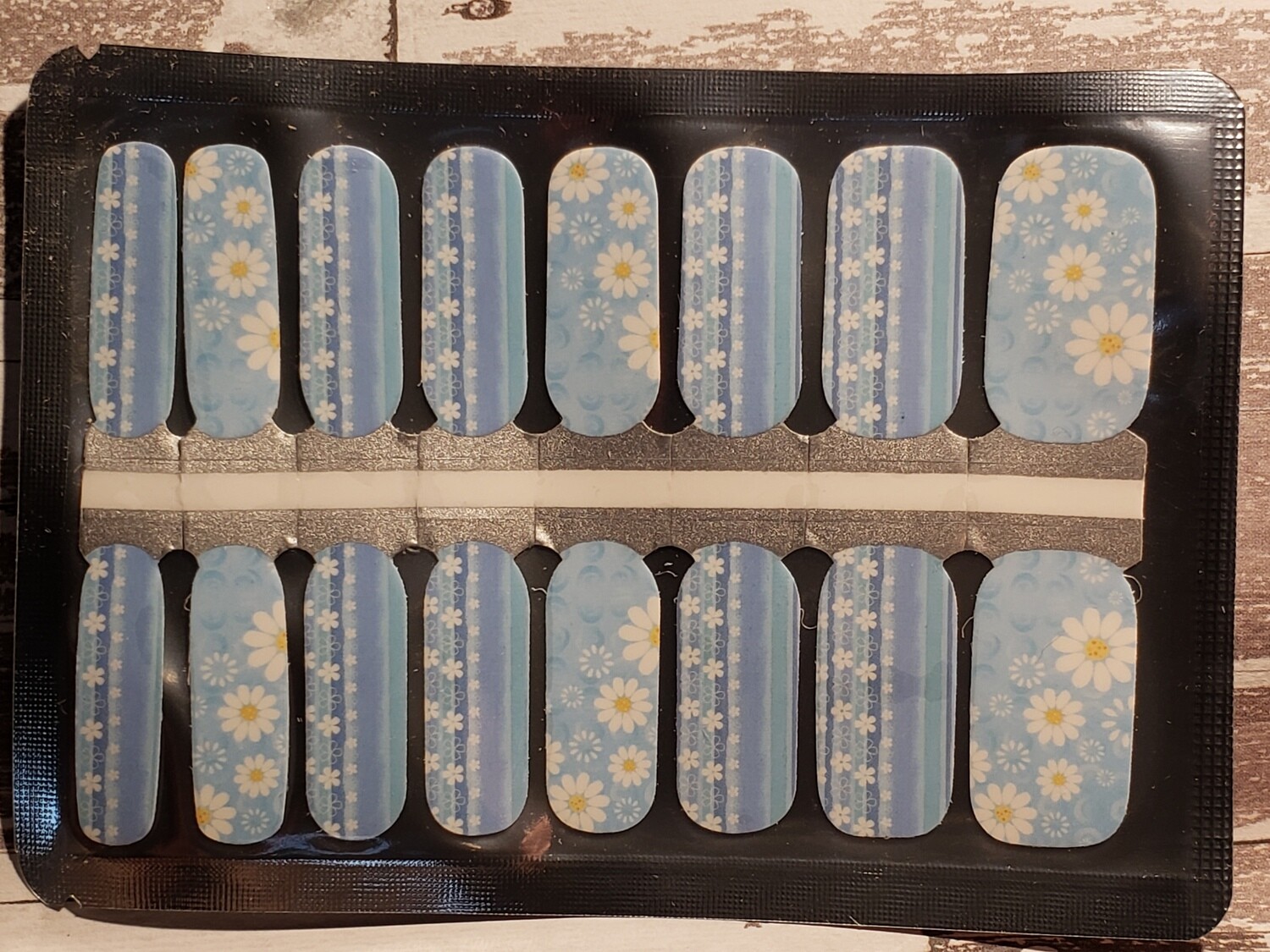 561- Sky Blue Field of Daisies