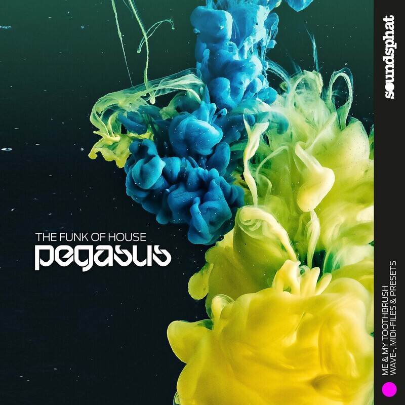 PEGASUS - THE FUNK OF HOUSE