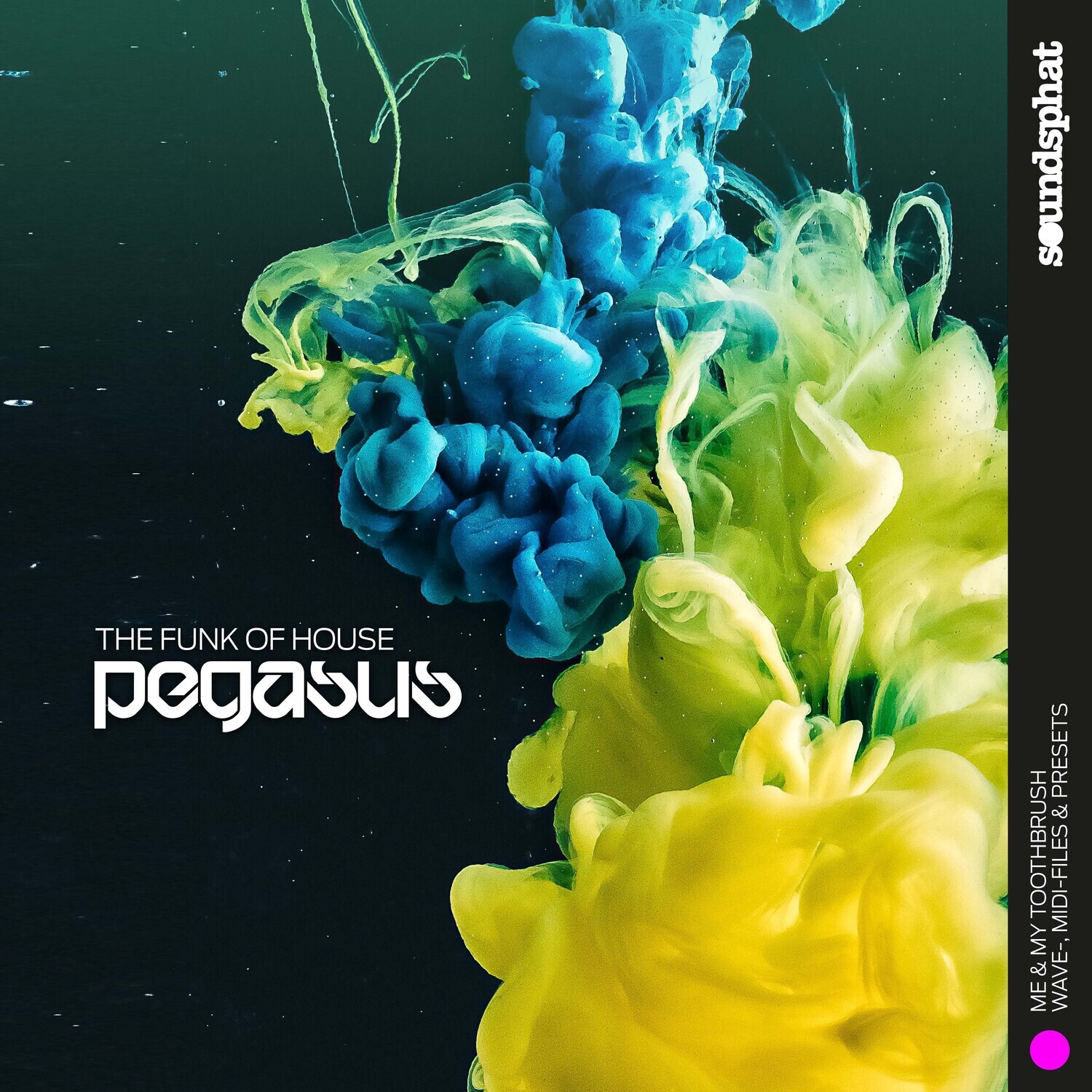 PEGASUS - THE FUNK OF HOUSE