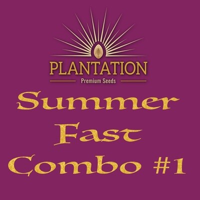 Summer (Fast) Combo #1