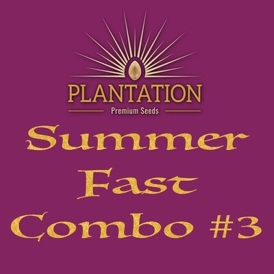 Summer (fast) Combo #3