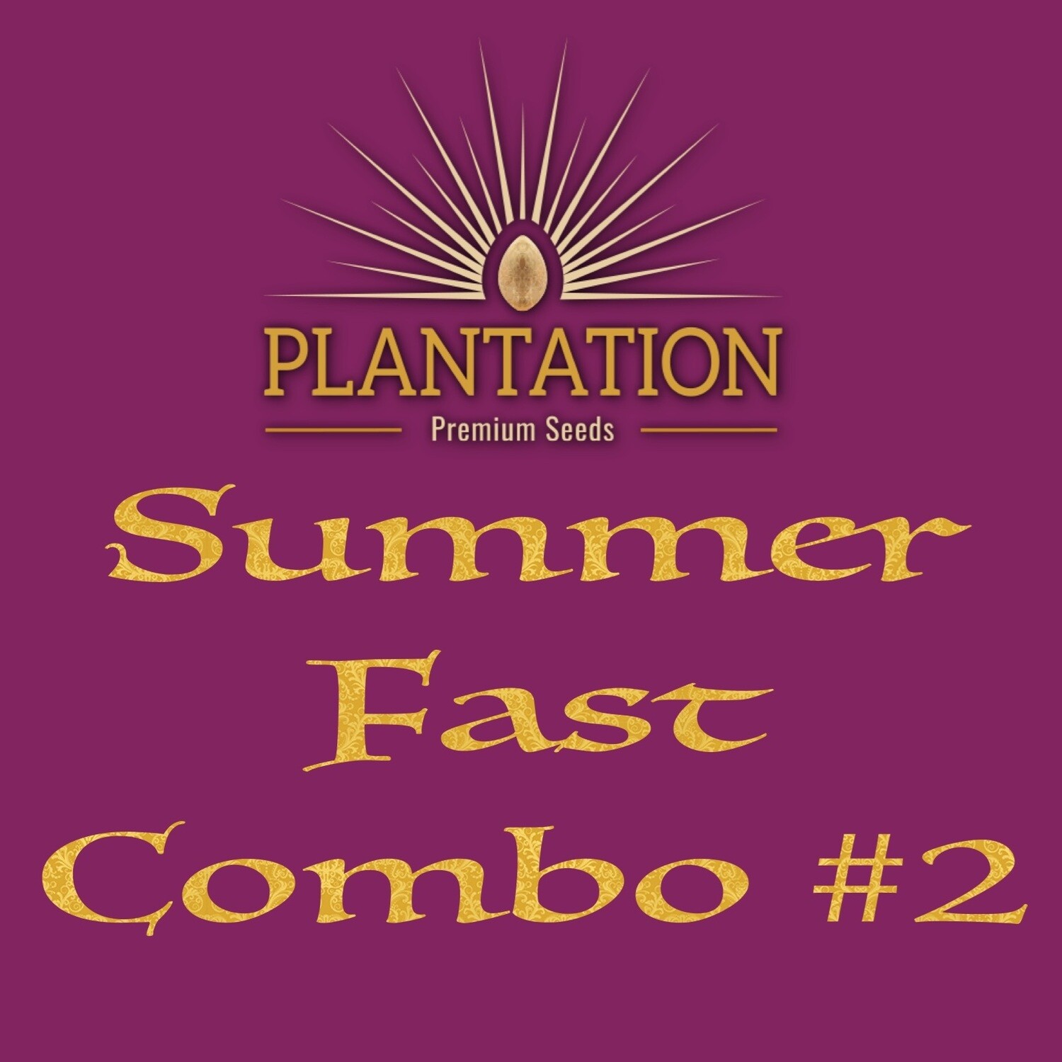Summer (fast) Combo #2
