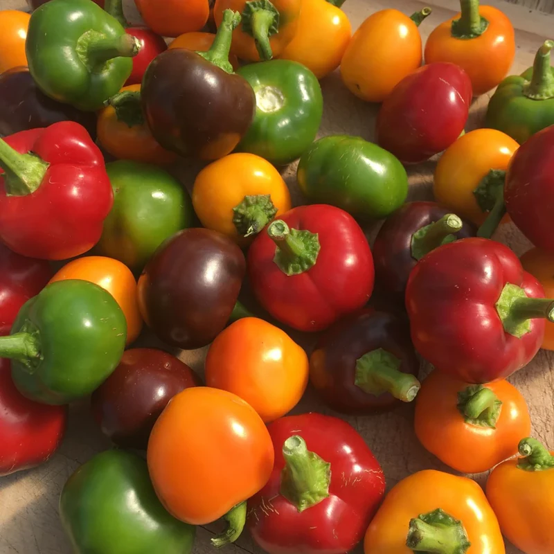 Hot Pepper Bomb Mix