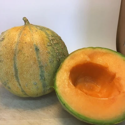 Orange fleshed French Melon