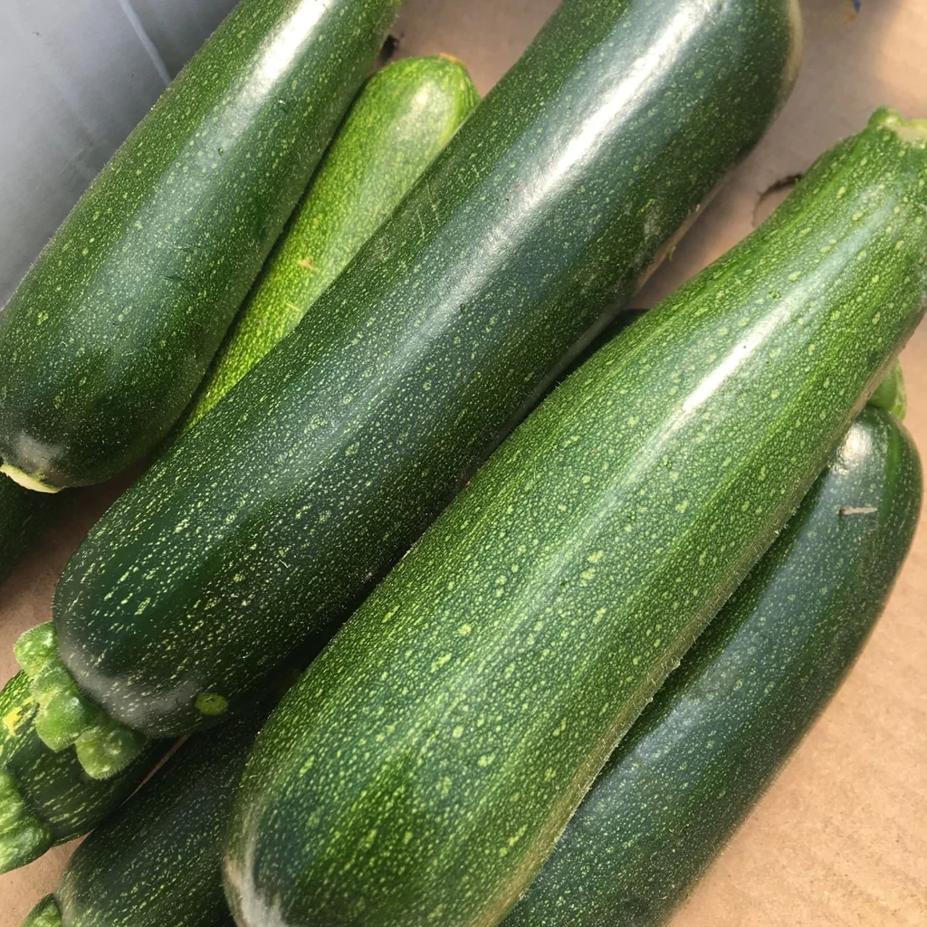 Dark green zucchini