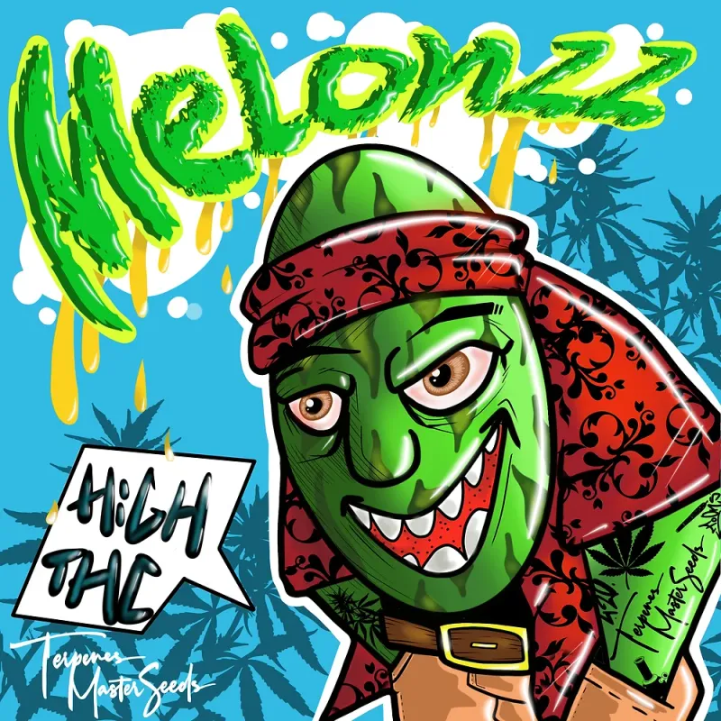 Melonzz Feminized (6 Seeds)