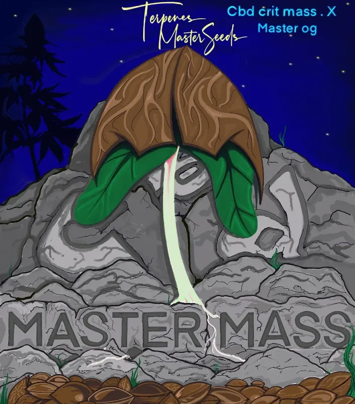 CBD Master Mass Feminized (6 Seeds)