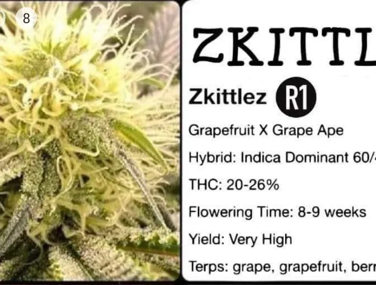 Zkittlez R1 Feminized (6 Seeds)