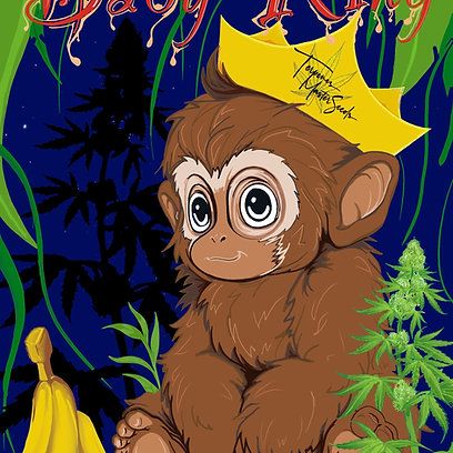 Baby King F1 Feminized (6 Seeds)