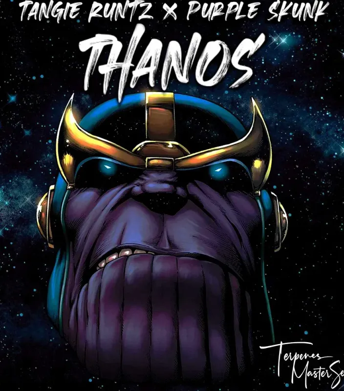 Thanos Feminized (6 Seeds)