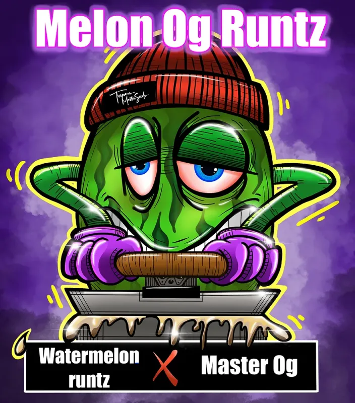 Melon OG Runtz F1 Feminized (6 Seeds)