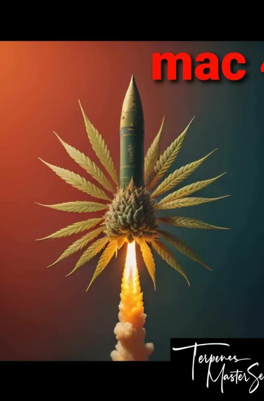 MAC #4 Feminized (6 Seeds)