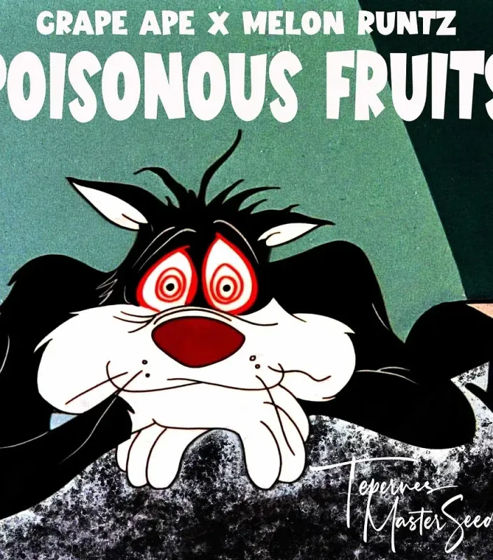 Poisonous Fruits Feminized (6 Seeds)