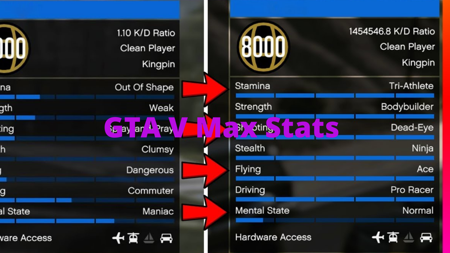 GTA V Max Stats (pc)