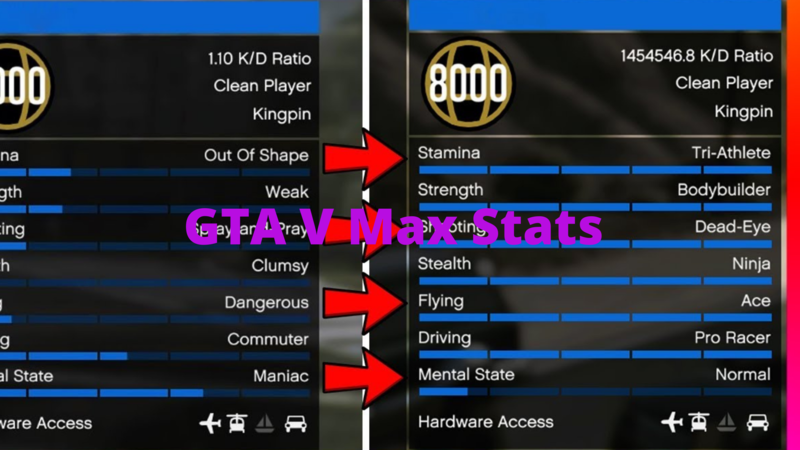 GTA V Max Stats (pc)