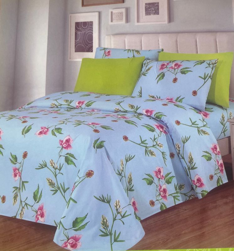 Queen size Glory  home Collection 6pc