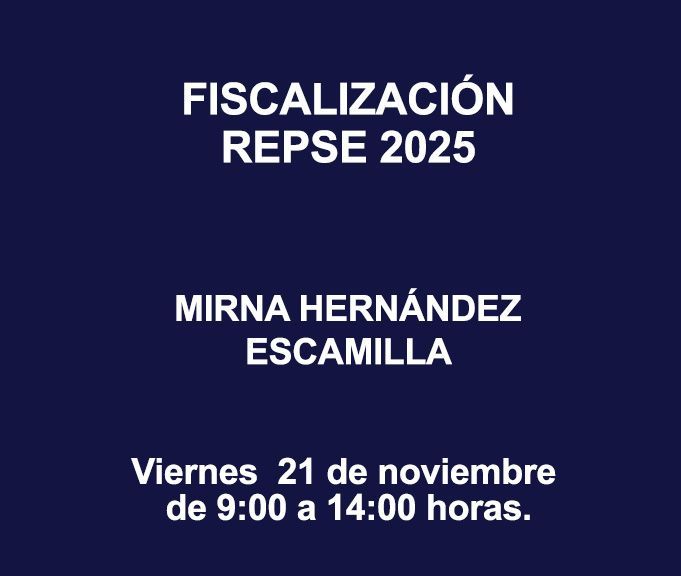 FISCALIZACIÓN REPSE 2025
