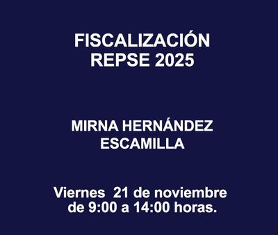 FISCALIZACIÓN REPSE 2025