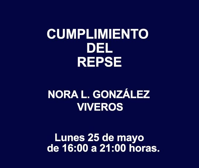 CUMPLIMIENTO DEL REPSE