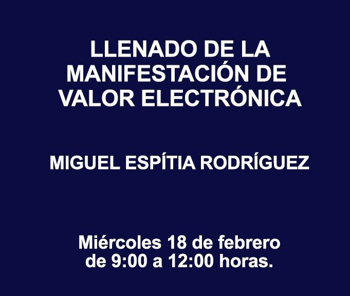 LLENADO DE LA MANIFESTACIÓN DE VALOR ELECTRÓNICA