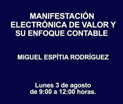MANIFESTACIÓN ELECTRÓNICA DE VALOR Y SU ENFOQUE CONTABLE