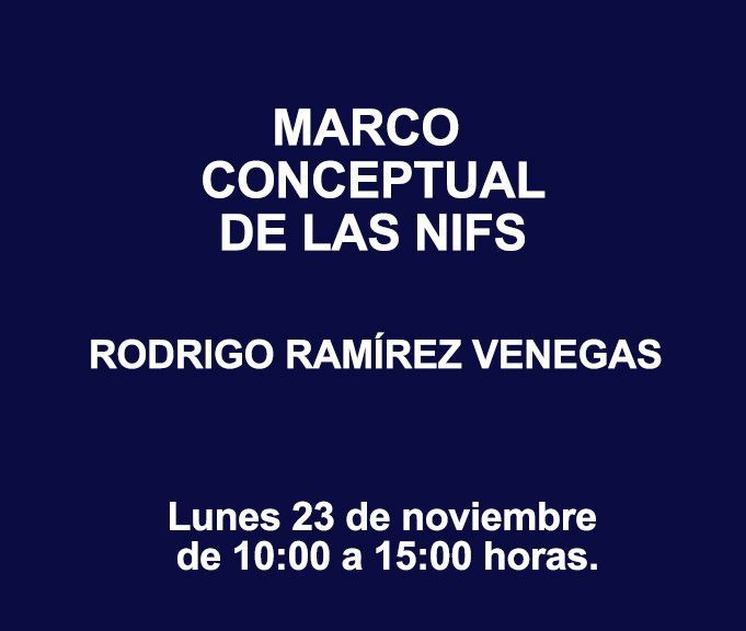 MARCO CONCEPTUAL DE LAS NIFS