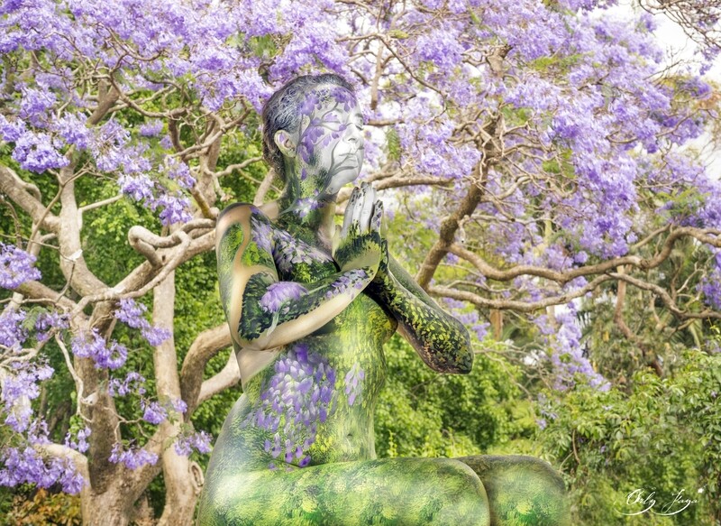 Jacaranda Dreaming