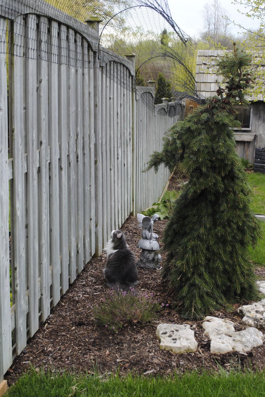 Cat Fence Kit To Convert 100 ft