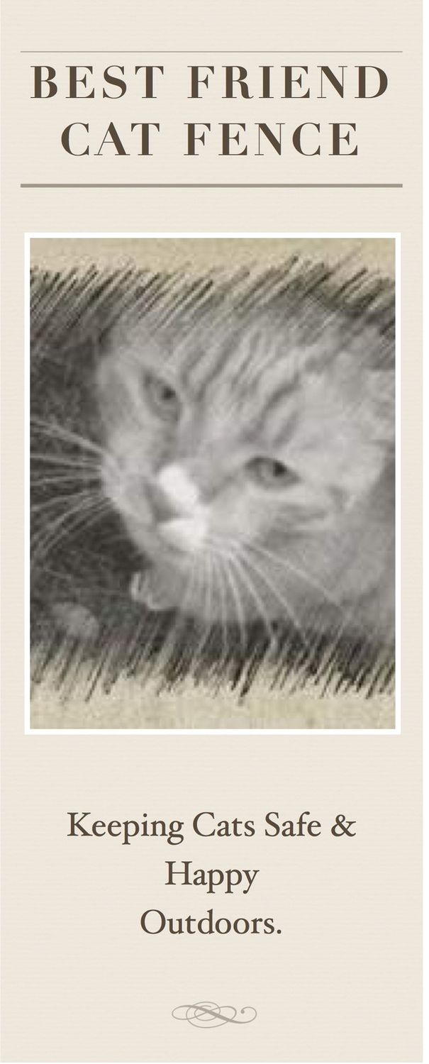 Cat Fence Brochure