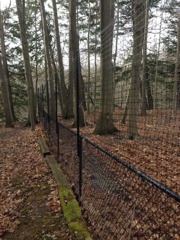 Extensions to convert Chain Link to Deer Fence