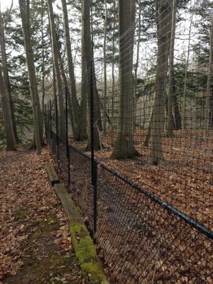 Extensions to convert Chain Link to Deer Fence