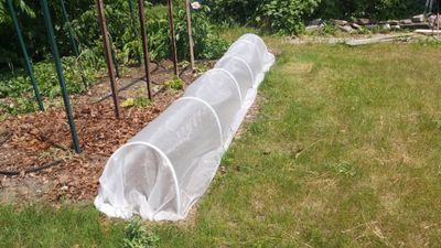 Gardening, Growers and Agriculture