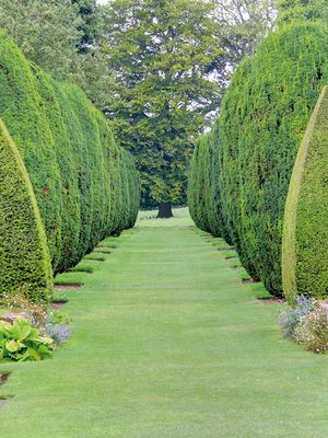 Landscape &amp; Agriculture