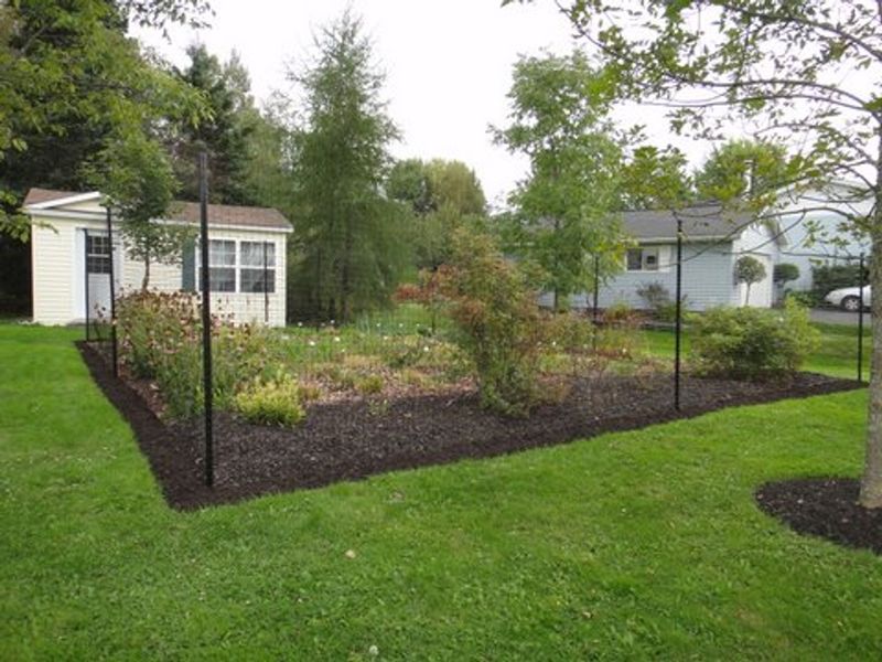 Deer Fence 100ft For A Small Garden